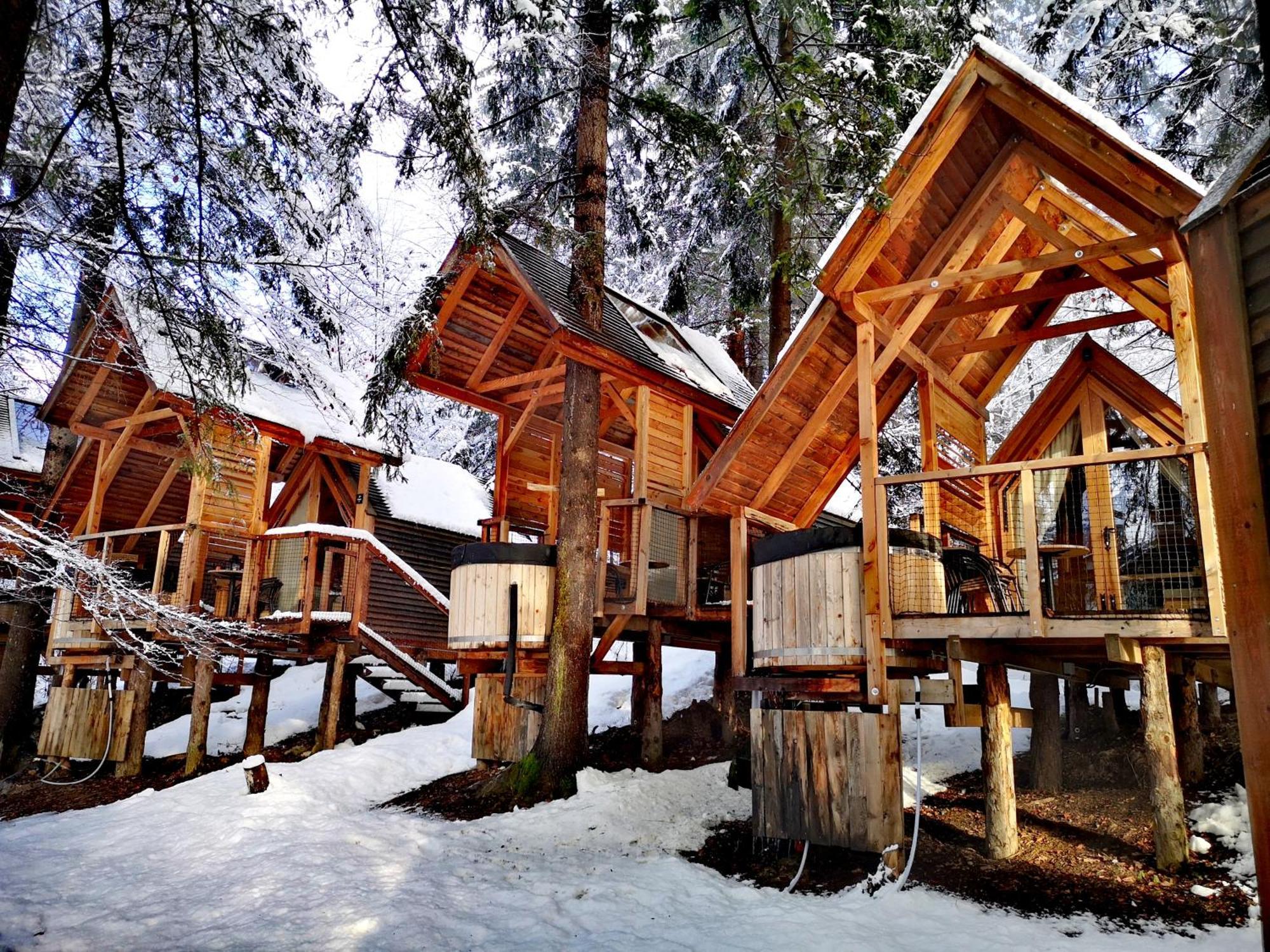 Luxury tent Ribno Alpine Glamping